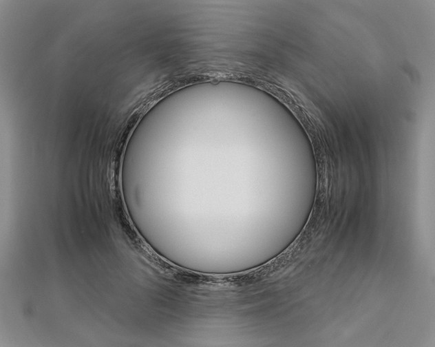 X0000113150696200909040932
