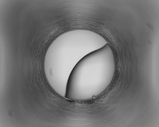 X0000113150697200909040932