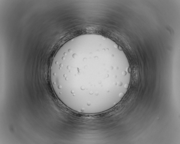 X0000113150698200909040932