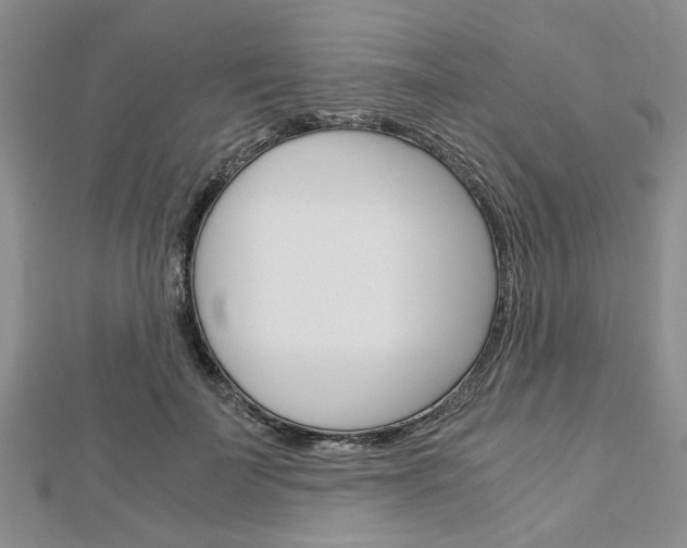 X0000113150699200909040932