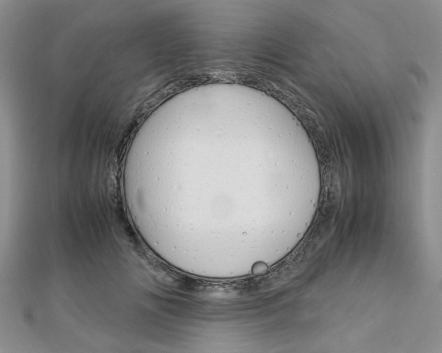 X0000113150702200909040932