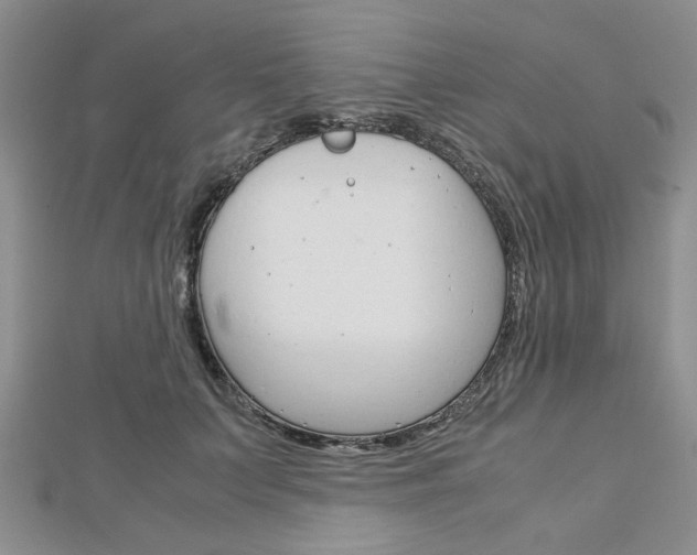 X0000113150703200909040932