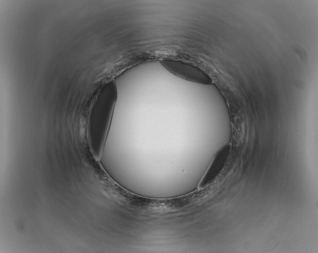 X0000113150704200909040932