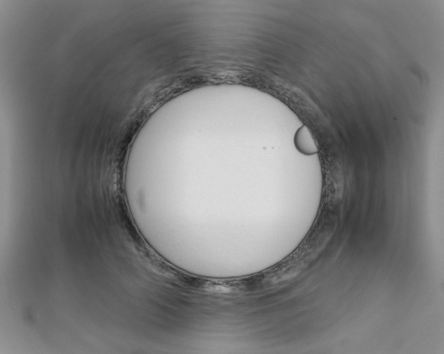 X0000113150706200909040932