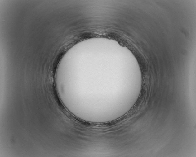 X0000113150707200909040932