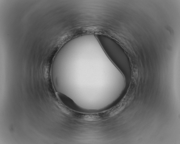 X0000113150708200909040932