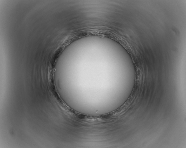 X0000113150712200909040932