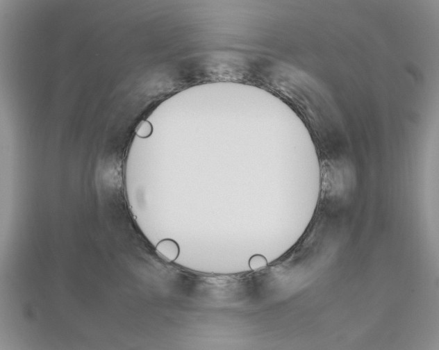 X0000113150713200909040932