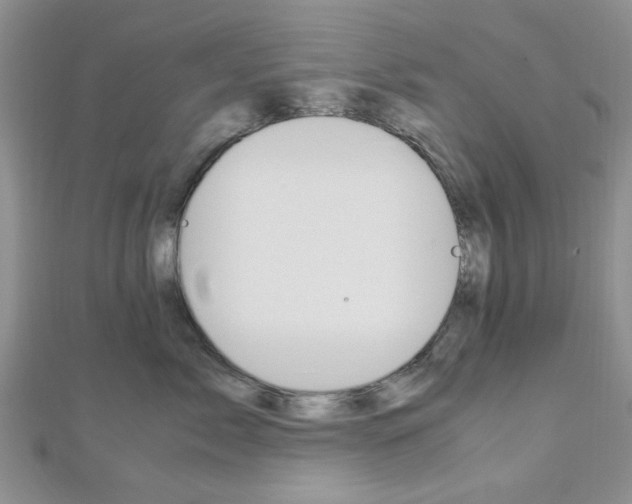 X0000113150717200909040932