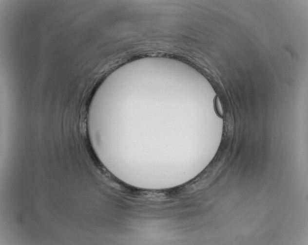 X0000113150719200909040932