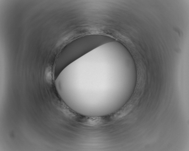 X0000113150720200909040932