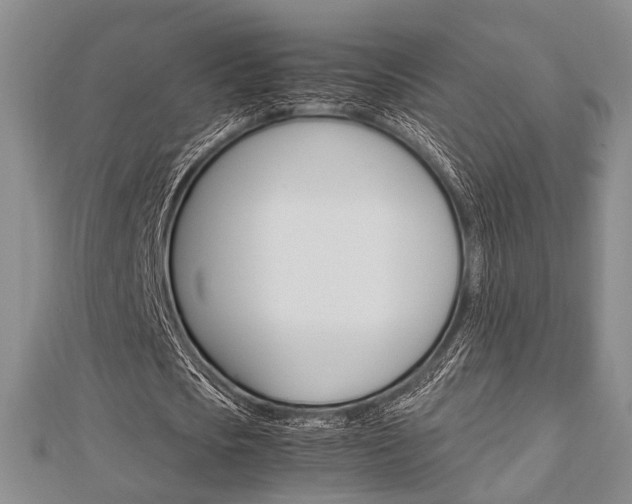 X0000113150721200909040931
