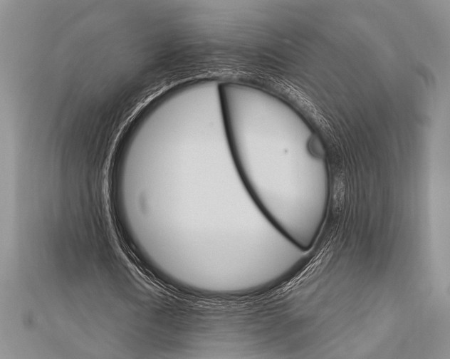 X0000113150722200909040931