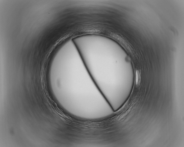 X0000113150723200909040931