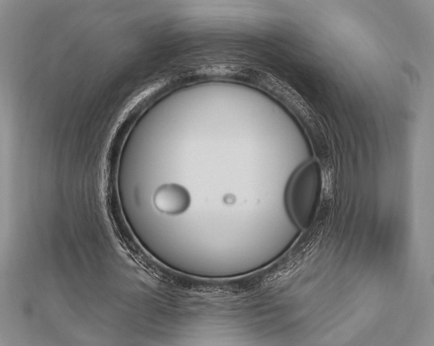 X0000113150724200909040931