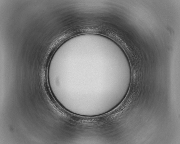 X0000113150725200909040931
