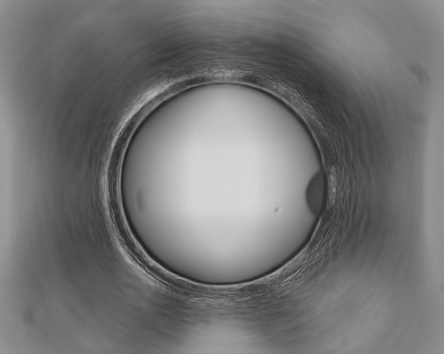 X0000113150726200909040931
