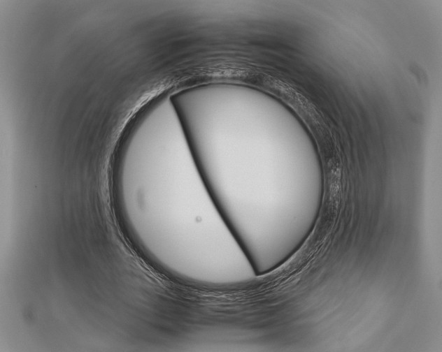 X0000113150727200909040931
