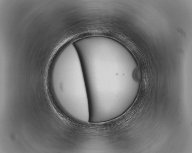 X0000113150728200909040931