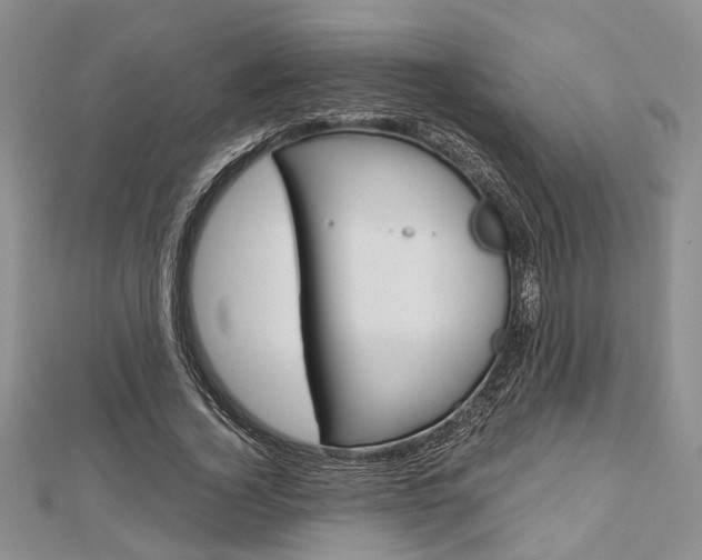 X0000113150732200909040931