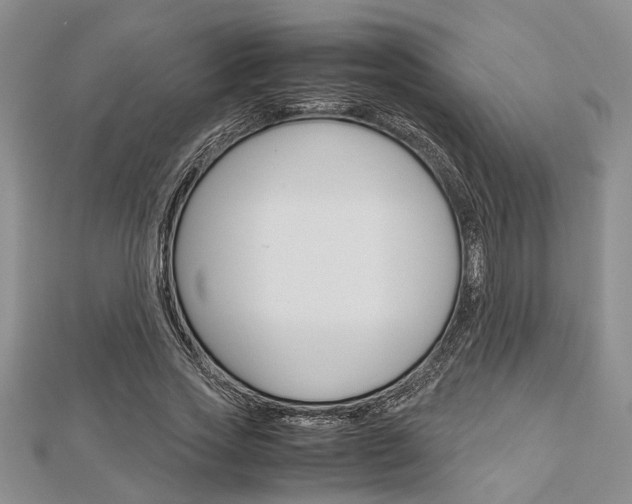 X0000113150733200909040931