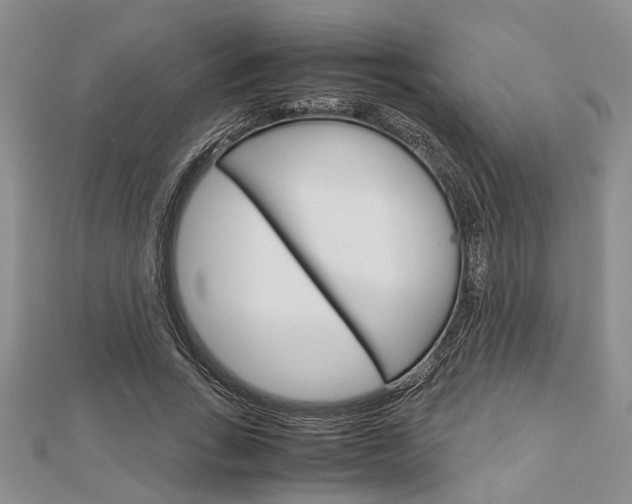 X0000113150735200909040931