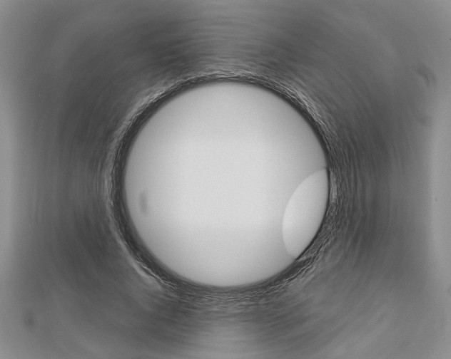 X0000113150736200909040932