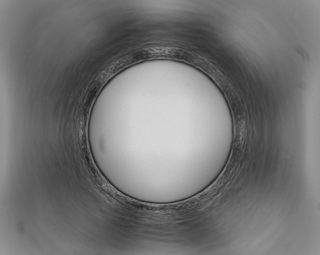 X0000113150737200909040932
