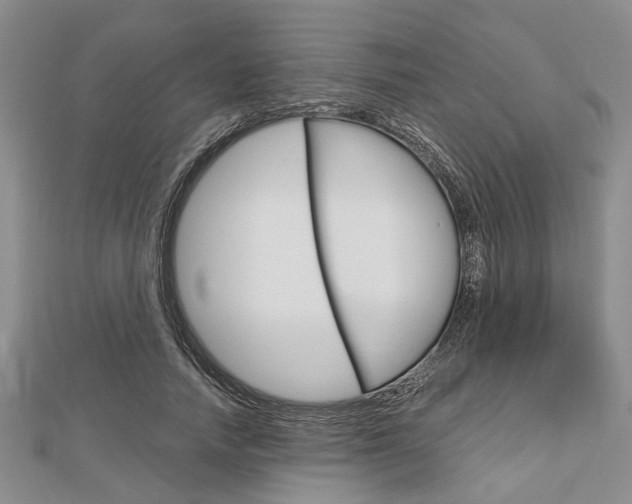 X0000113150738200909040932