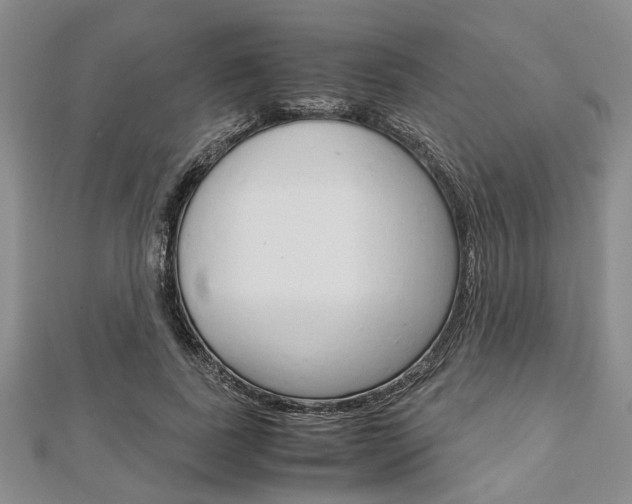 X0000113150739200909040932