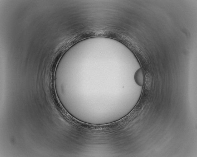 X0000113150740200909040932