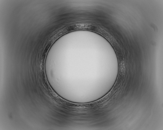 X0000113150741200909040932