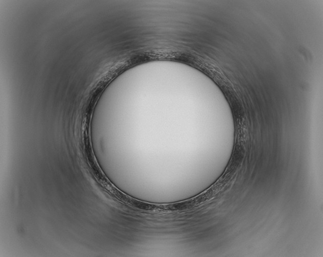 X0000113150742200909040932