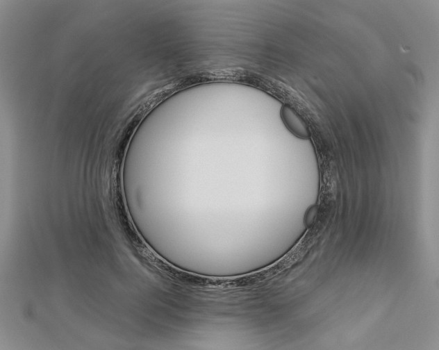 X0000113150744200909040932
