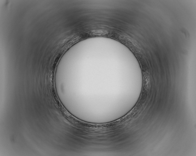 X0000113150745200909040932