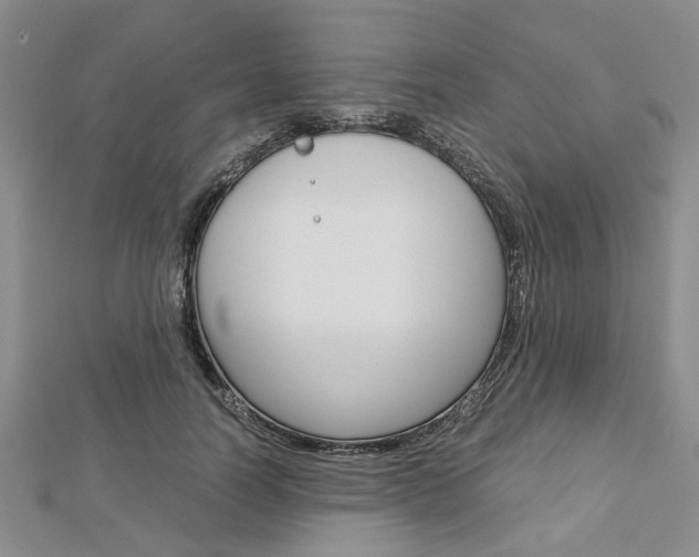 X0000113150746200909040932