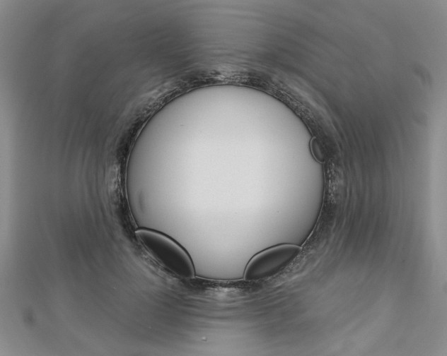 X0000113150748200909040932