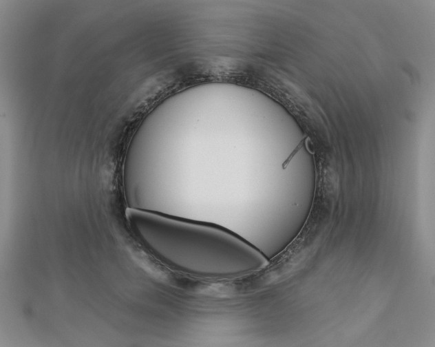 X0000113150750200909040932