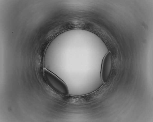 X0000113150752200909040932
