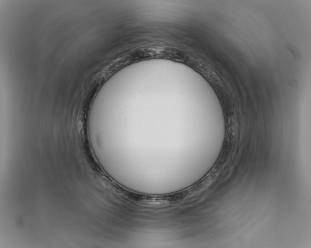 X0000113150754200909040932
