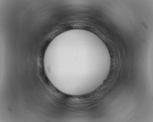 X0000113150755200909040932