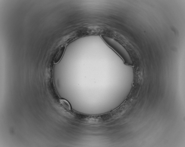 X0000113150756200909040932
