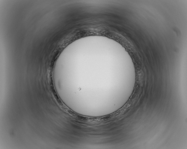 X0000113150757200909040932