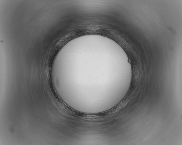X0000113150758200909040932