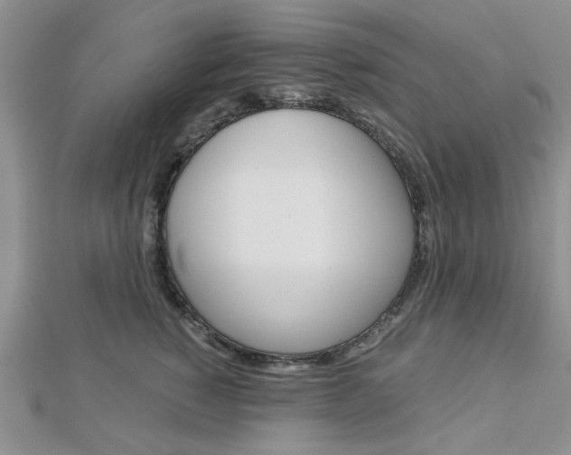 X0000113150760200909040932