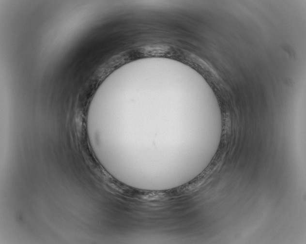 X0000113150761200909040932