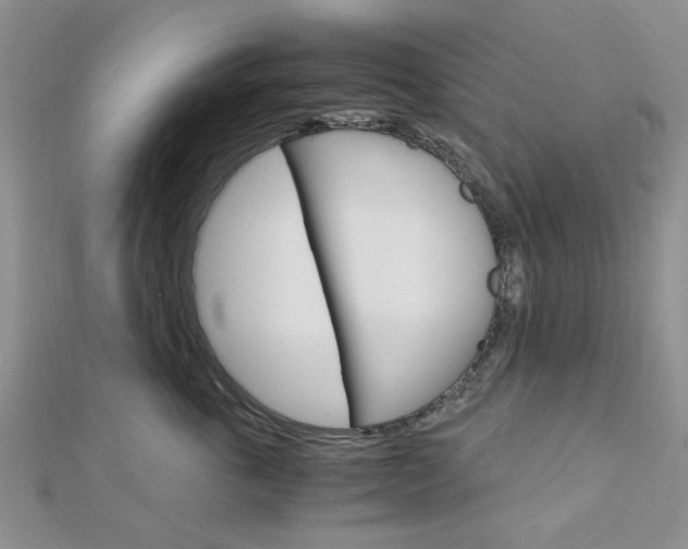 X0000113150763200909040932