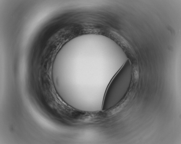 X0000113150764200909040932