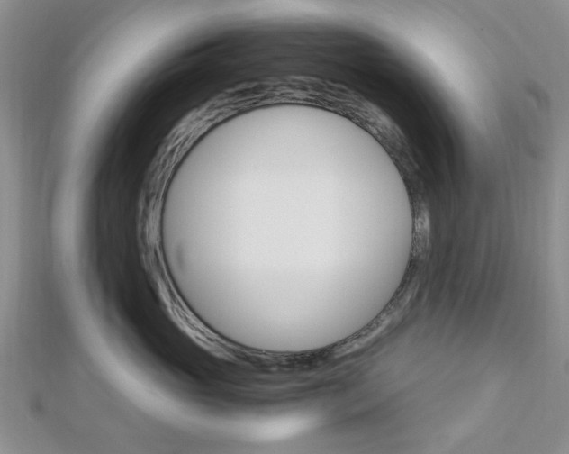 X0000113150765200909040932