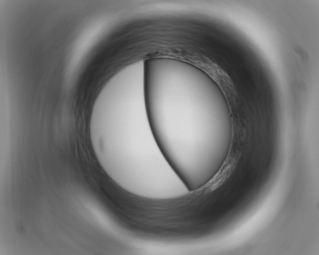 X0000113150766200909040932